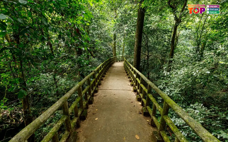 Vuon-quoc-gia-cuc-phuong-1