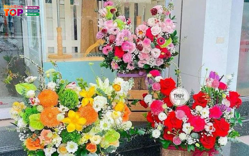 Iris-floral-ninhbinhtoplist