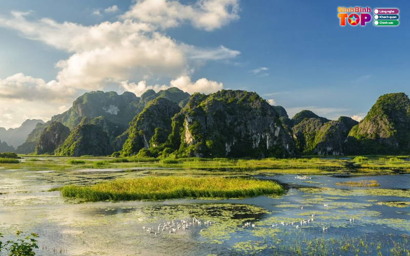 Khu-bao-ton-thien-nhien-van-long-ninhbinhtoplist