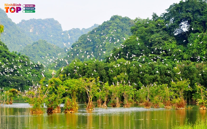 Khu-du-lich-sinh-thai-thung-nham-ninhbinhtoplist-2