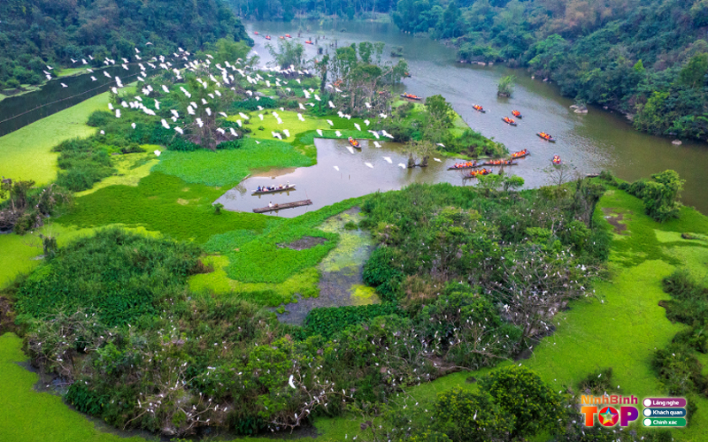 Khu-du-lich-sinh-thai-thung-nham-ninhbinhtoplist-3