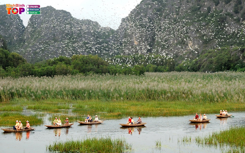 Khu-du-lich-van-long-ninhbinhtoplist-4