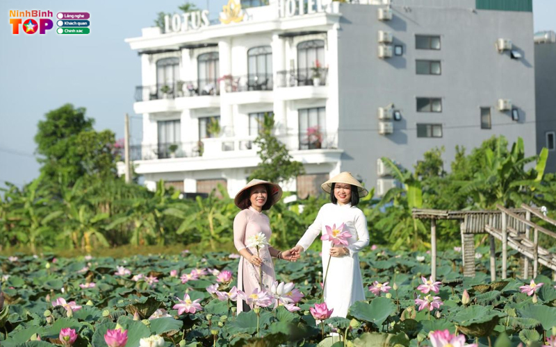 Lotus-hotel-ninhbinhtoplist