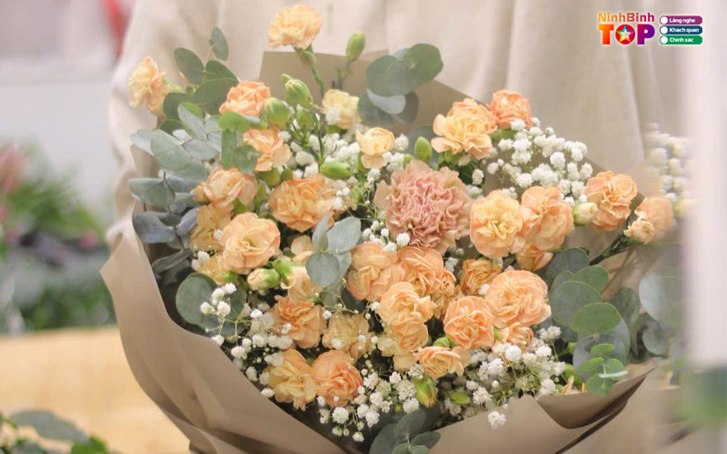 Sakura-flower-ninhbinhtoplist