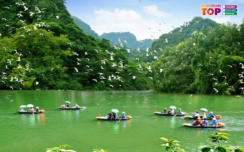 Thung-nham-ninhbinhtoplist