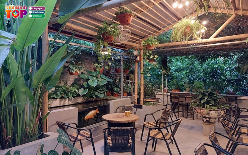 Tutucoffee-ninhbinhtoplist