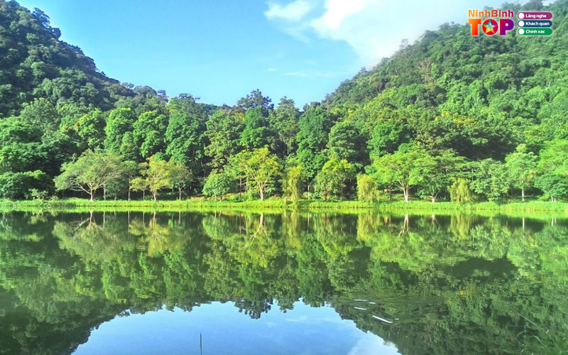 Vuon-quoc-gia-cuc-phuong-ninhbinhtoplist