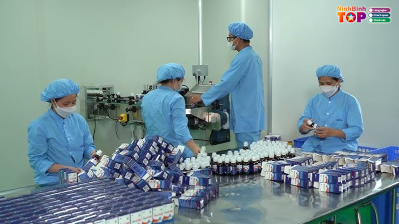 Cong-ty-co-phan-duoc-pham-ninh-binh-nibifa-4