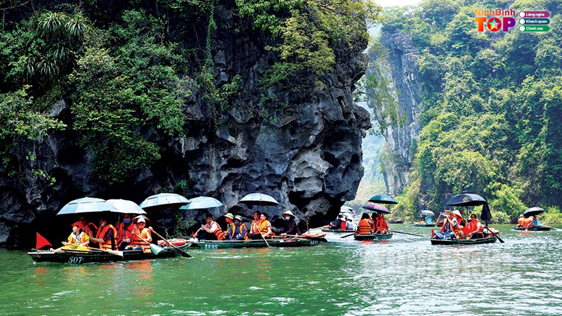 Cong-ty-tnhh-du-lich-va-su-kien-tam-sinh-2