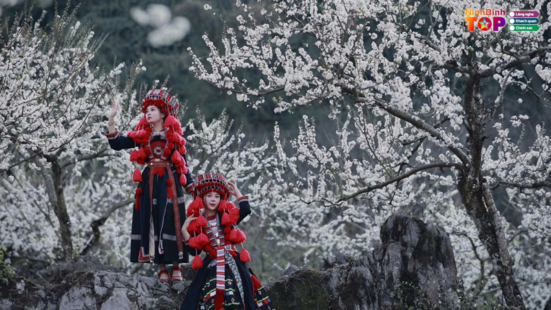 Cong-ty-tnhh-du-lich-va-su-kien-tam-sinh-3