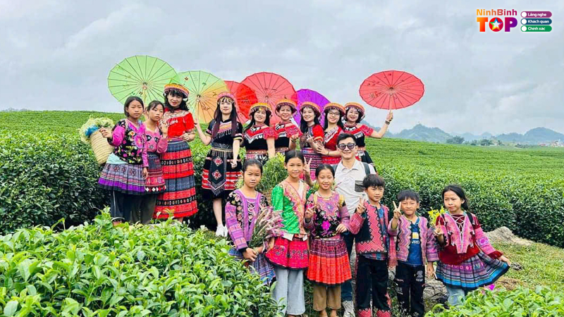 Cong-ty-tnhh-du-lich-va-su-kien-tam-sinh-4