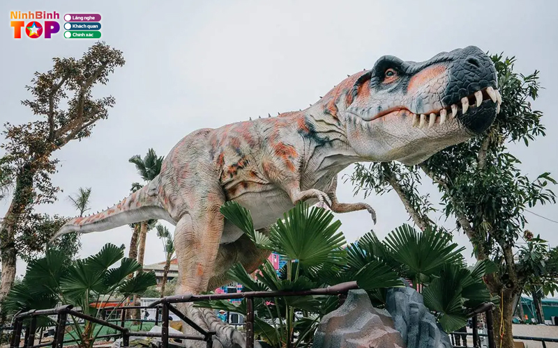 Cong-vien-khung-long-ninhbinhtoplist