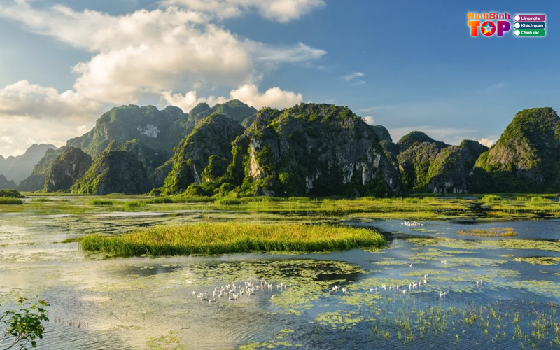 Dam-van-long-ninhbinhtoplist