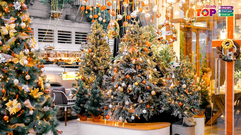 Dia-diem-di-choi-noel-ninh-binh