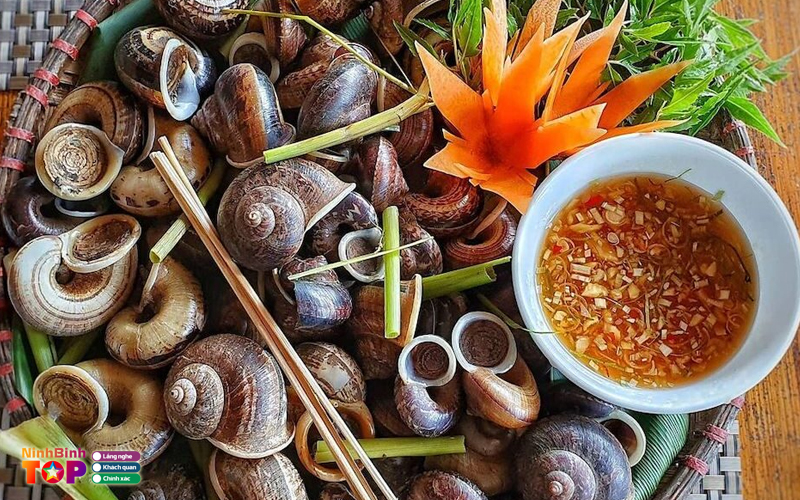 Oc-ngoc-ngoc-ninhbinhtoplist