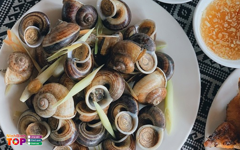 Oc-nhoi-van-nhat-dau-ninhbinhtoplist