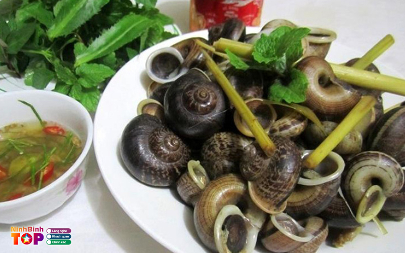 Oc-nhung-ninhbinhtoplist