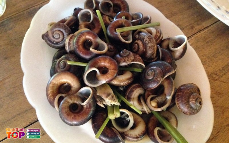 Oc-quan-ninhbinhtoplist