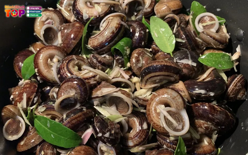 Oc-tay-thanh-ninhbinhtoplist