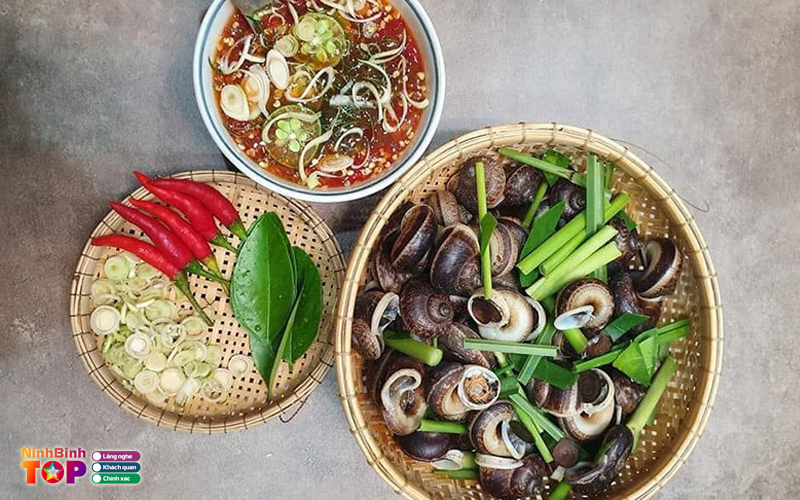 Quan-oc-1982-ninhbinhtoplist