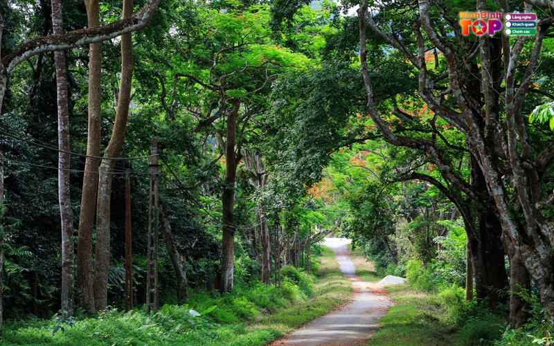 Rung-cuc-phuong-ninhbinhtoplist