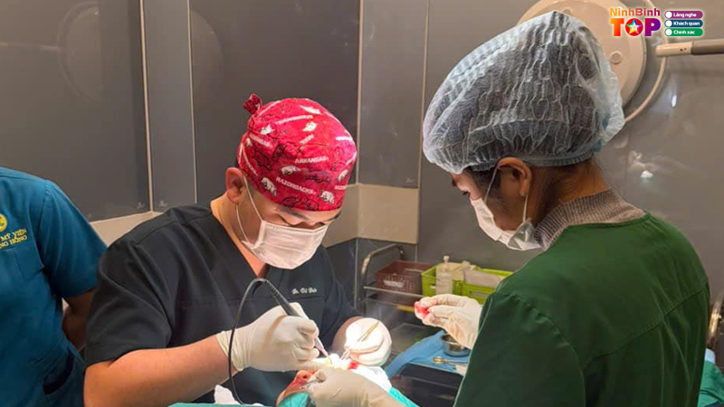 Tham-my-vien-hoang-hong-3