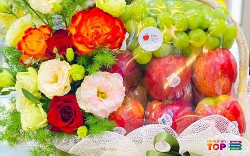 Anibi-fruits-ninhbinhtoplist