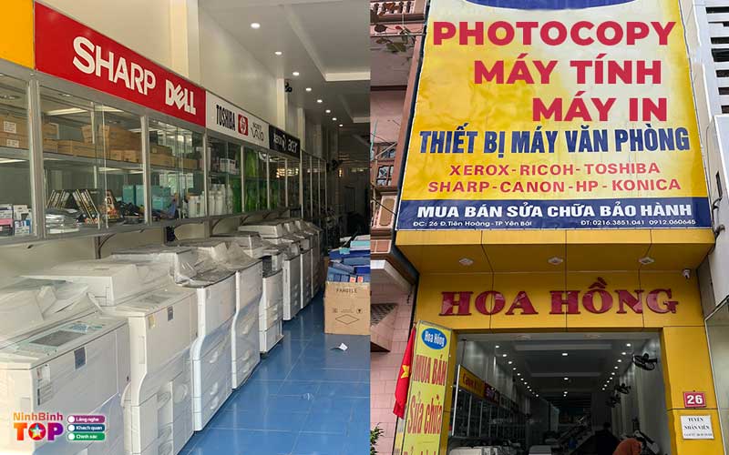 Print-hoa-hong-ninhbinhtoplist