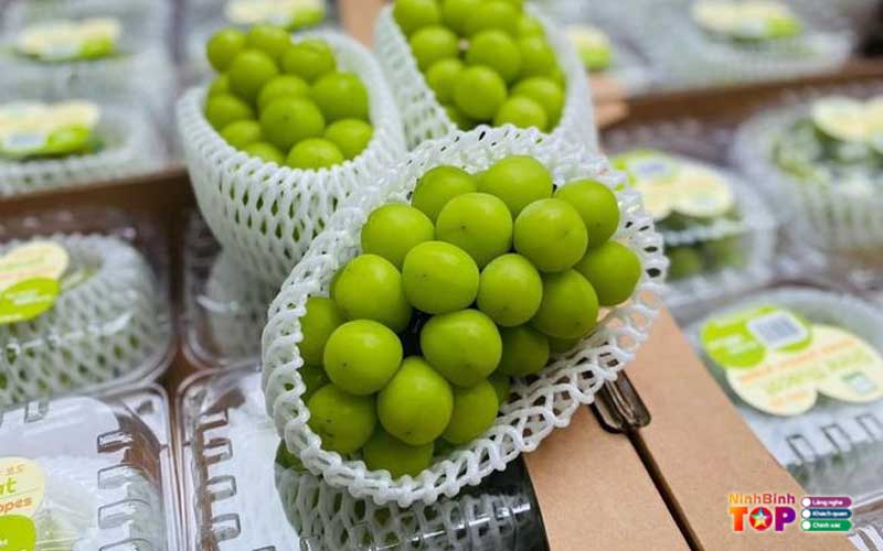 Trai-cay-sach-3-mien-ninhbinhtoplist