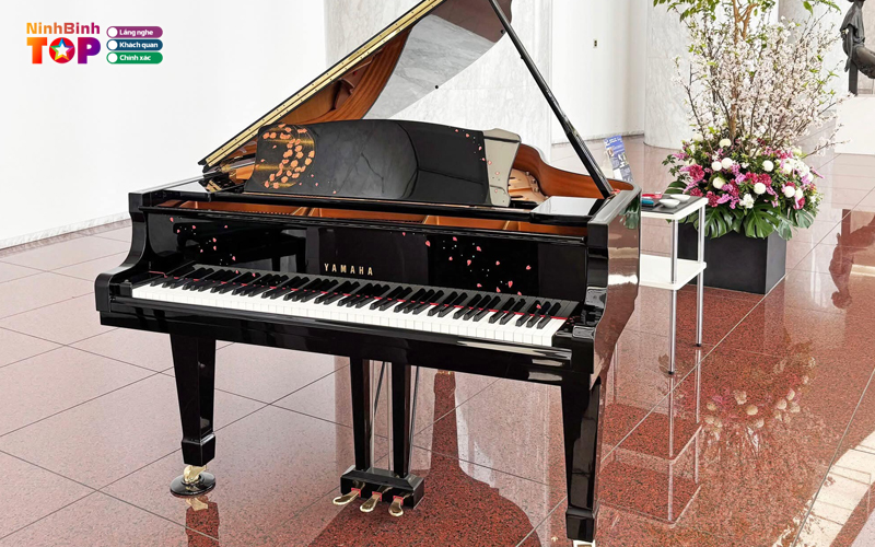 Trung-tam-nghe-thuat-music-key-ninhbinhtoplist