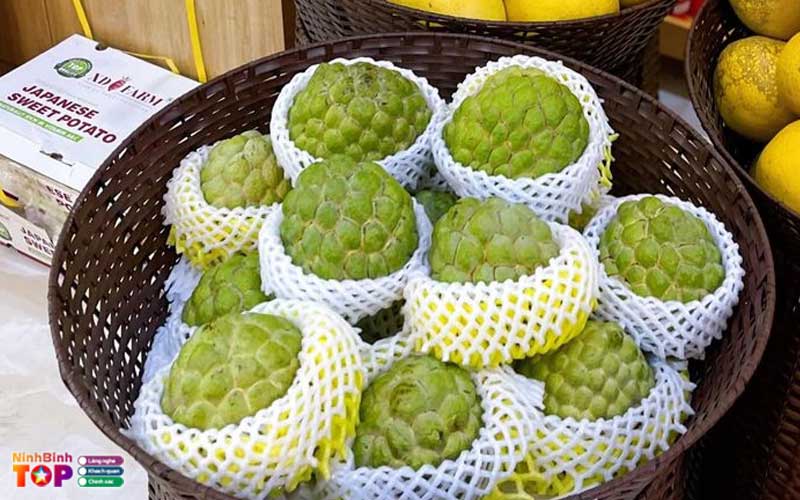 Yen-thanh-fruits-ninhbinhtoplist