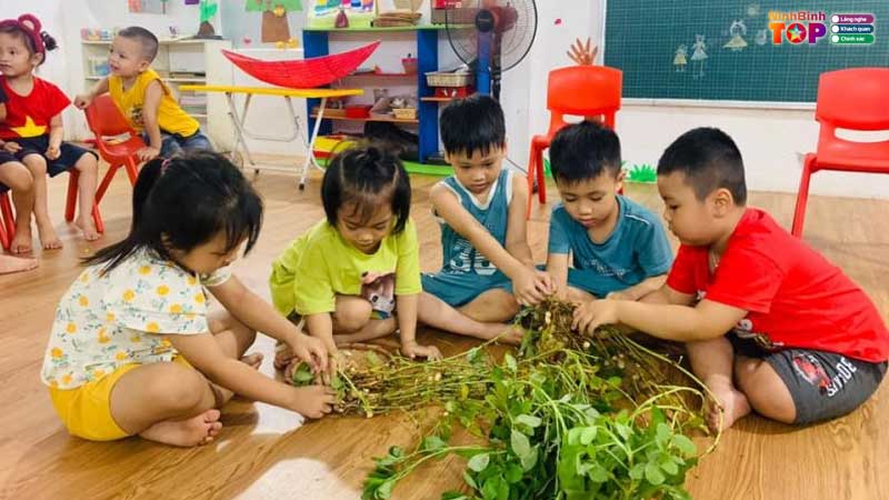 Truong-mam-non-o-ninh-binh