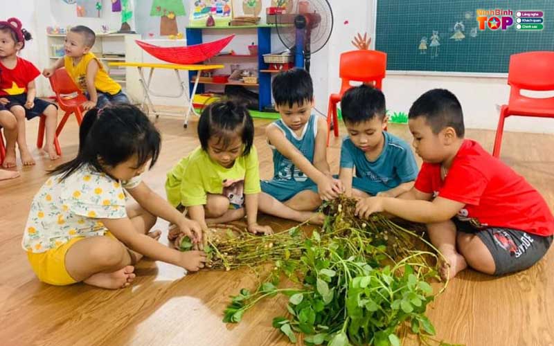 Truong-mam-non-song-ngu-happy-kids-ninhbinhtoplist