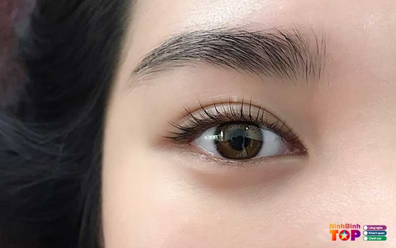 La-muse-ninhbinhtoplist